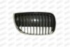 PRASCO BM1202014 Radiator Grille